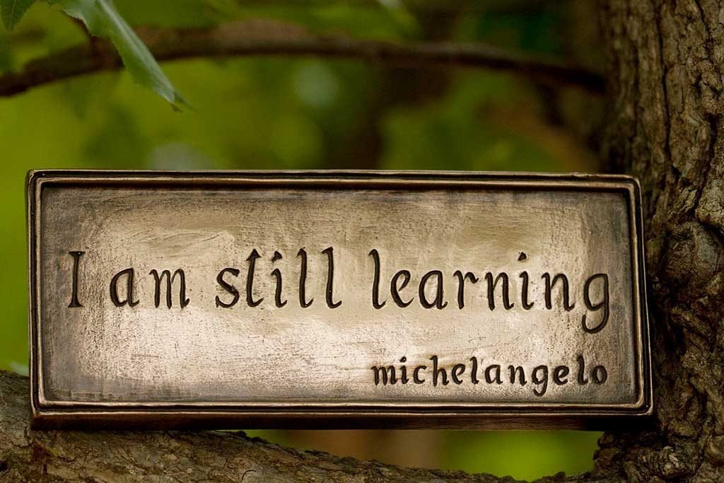 Still learning Michelangelo 1024x683 Reduced Quality 30%