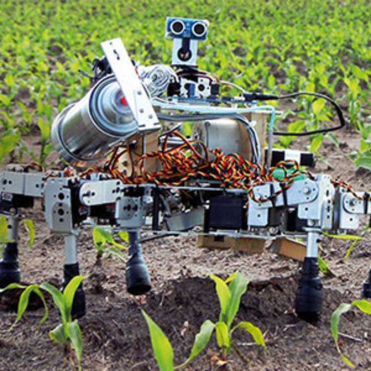 jaja FUN Excursión huerto escuela en Madrid 11 Robot-en-campo